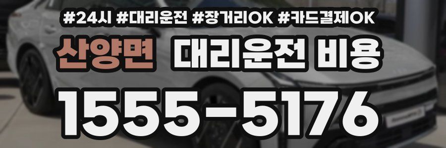 산양면 대리운전 비용