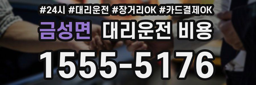 금성면 대리운전 비용