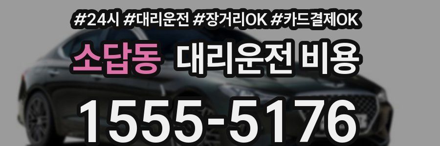 소답동 대리운전 비용