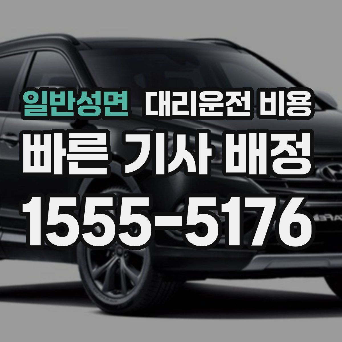 일반성면 대리운전