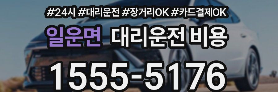 일운면 대리운전 비용