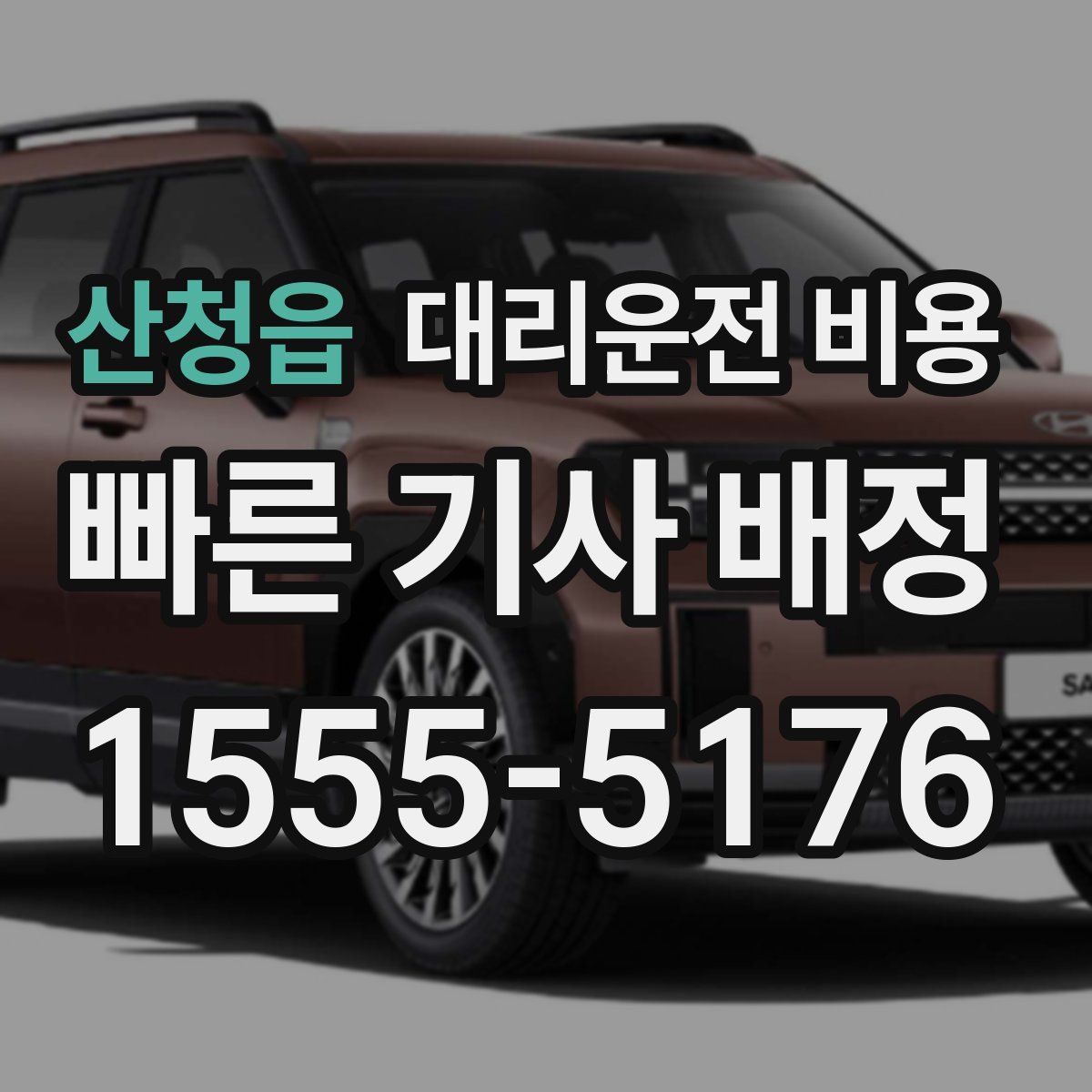 산청읍 대리운전