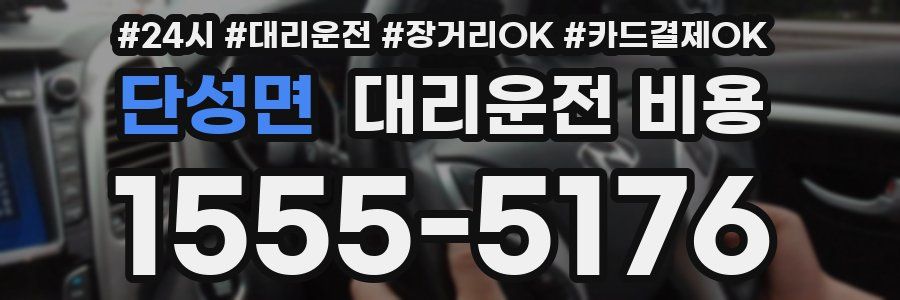 단성면 대리운전 비용