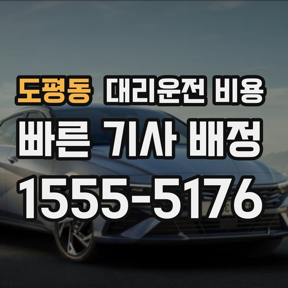 도평동 대리운전