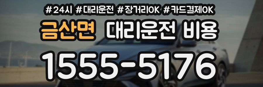 금산면 대리운전 비용