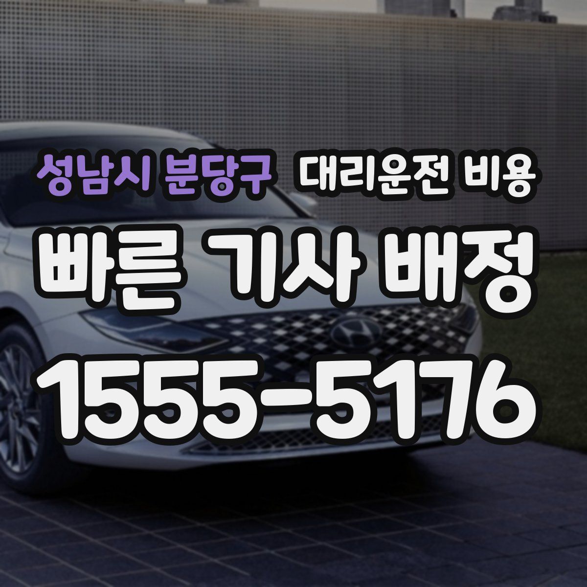 성남시 분당구 대리운전