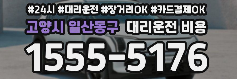고양시 일산동구 대리운전 비용