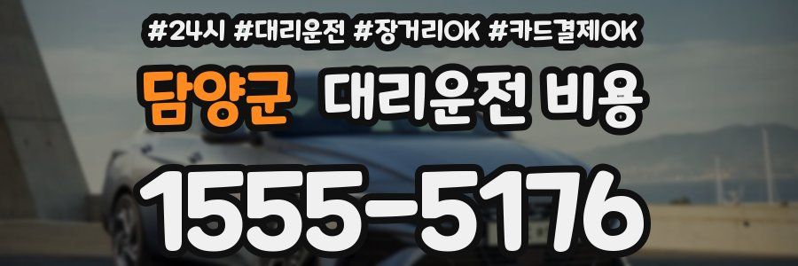 담양군 대리운전 비용