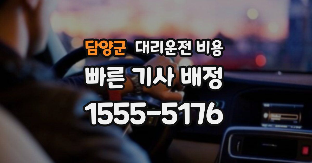 담양군 대리운전 가격