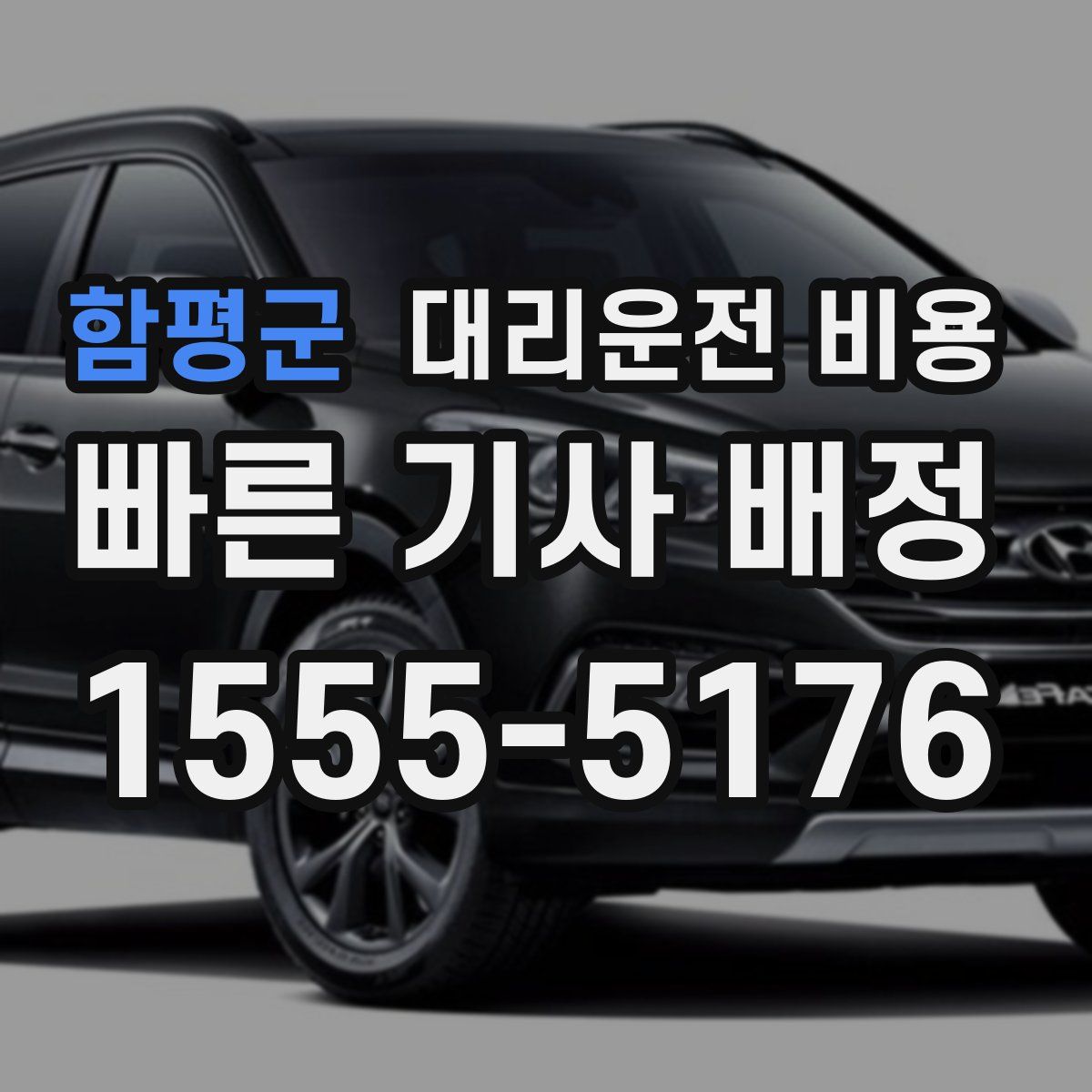 함평군 대리운전