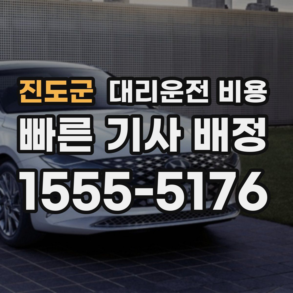 진도군 대리운전