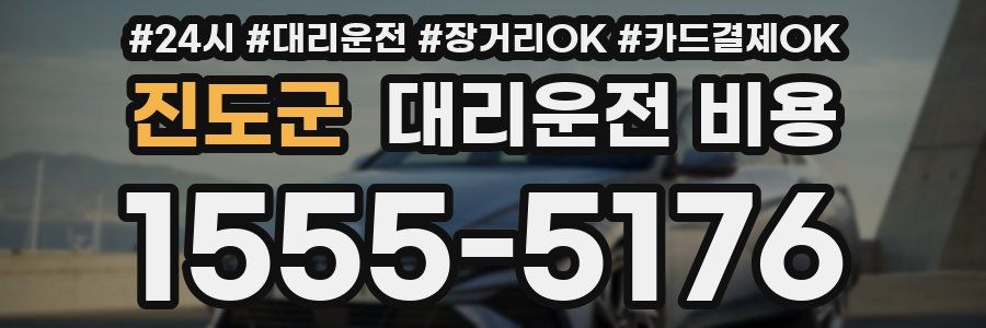 진도군 대리운전 비용