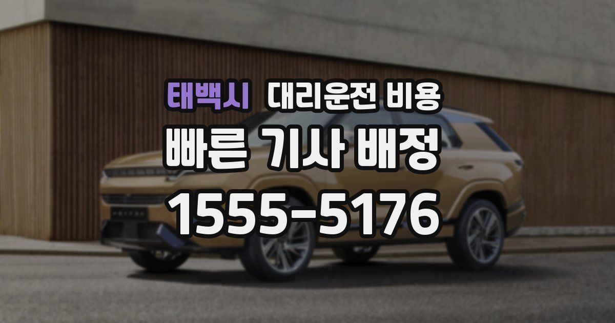 태백시 대리운전 가격