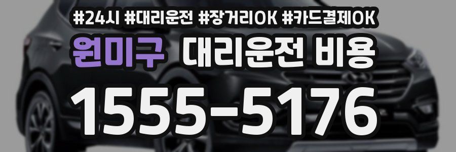 원미구 대리운전 비용