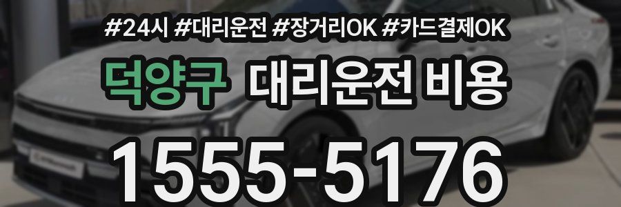 덕양구 대리운전 비용