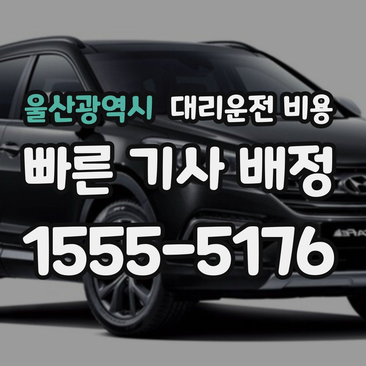 울산광역시 대리운전