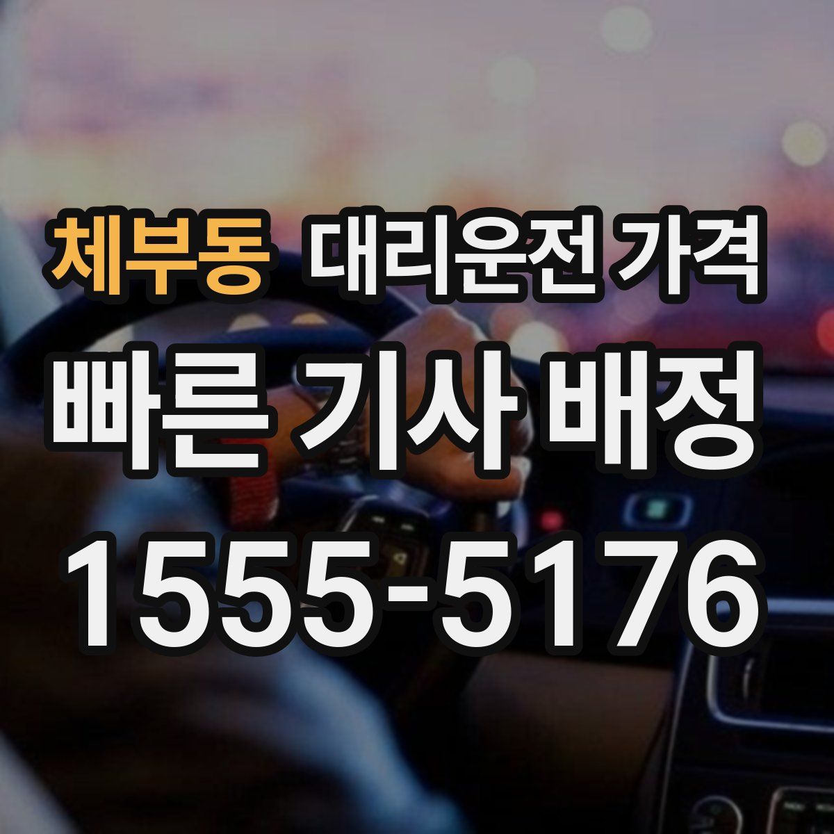 체부동 대리운전