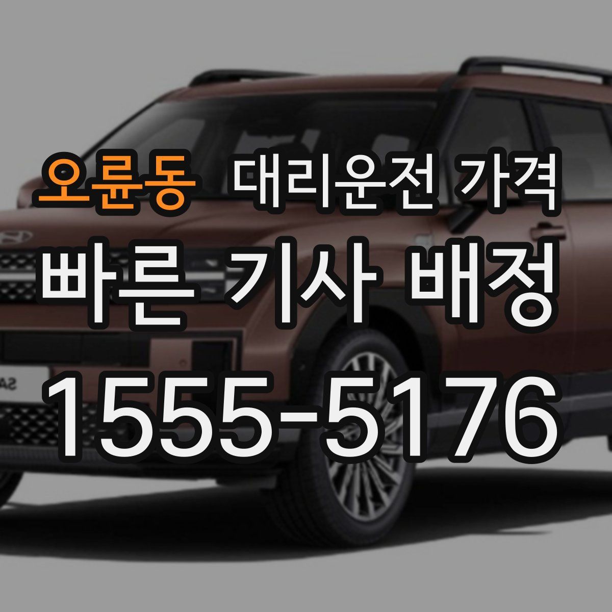 오륜동 대리운전