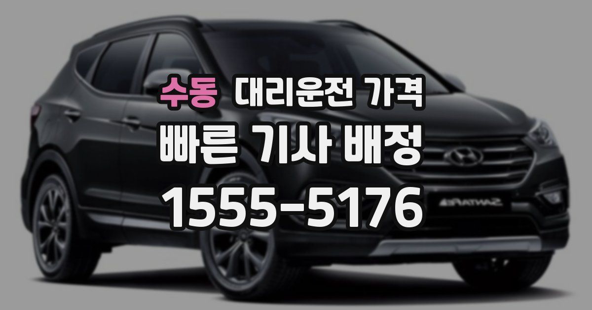 수동 대리운전 가격