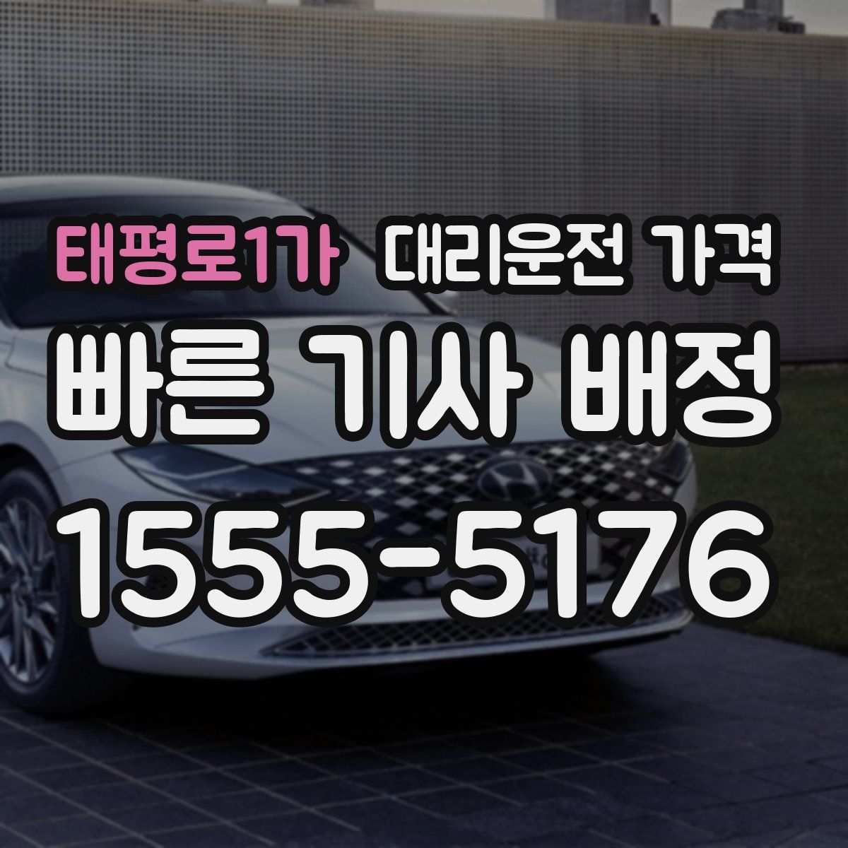 태평로1가 대리운전