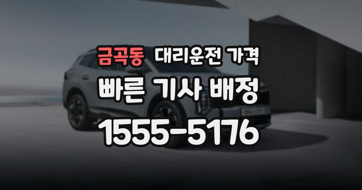 금곡동 대리운전 가격