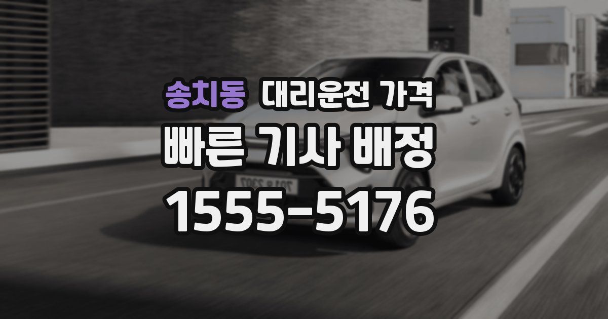 송치동 대리운전 가격