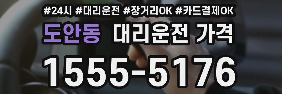 도안동 대리운전 가격
