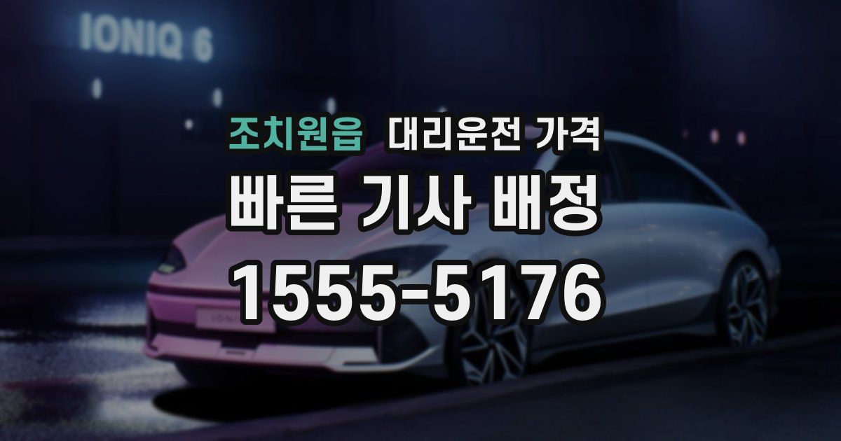 조치원읍 대리운전 가격