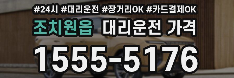 조치원읍 대리운전 가격