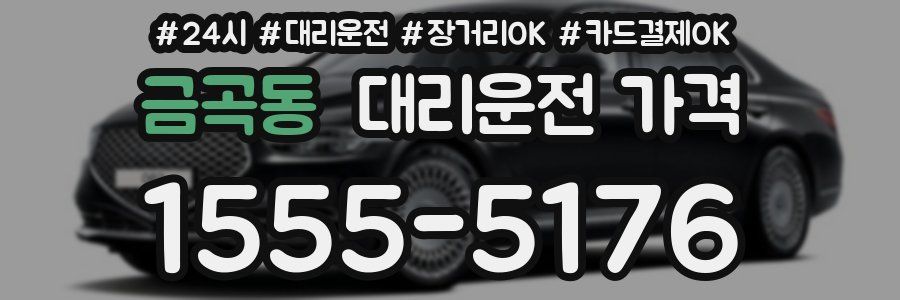 금곡동 대리운전 가격
