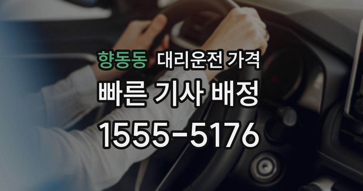 향동동 대리운전 가격