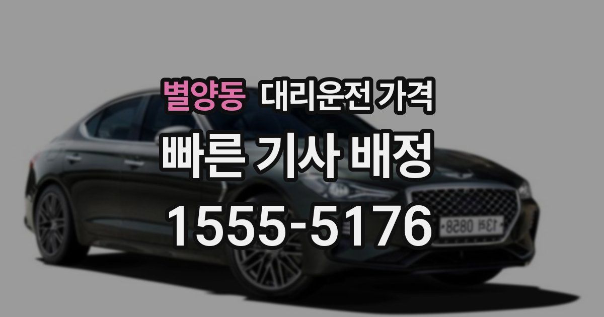 별양동 대리운전 가격