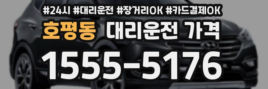 호평동 대리운전 가격