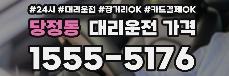 당정동 대리운전 가격