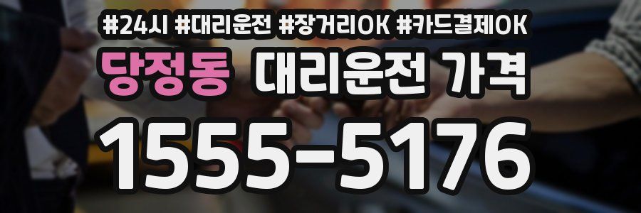 당정동 대리운전 가격