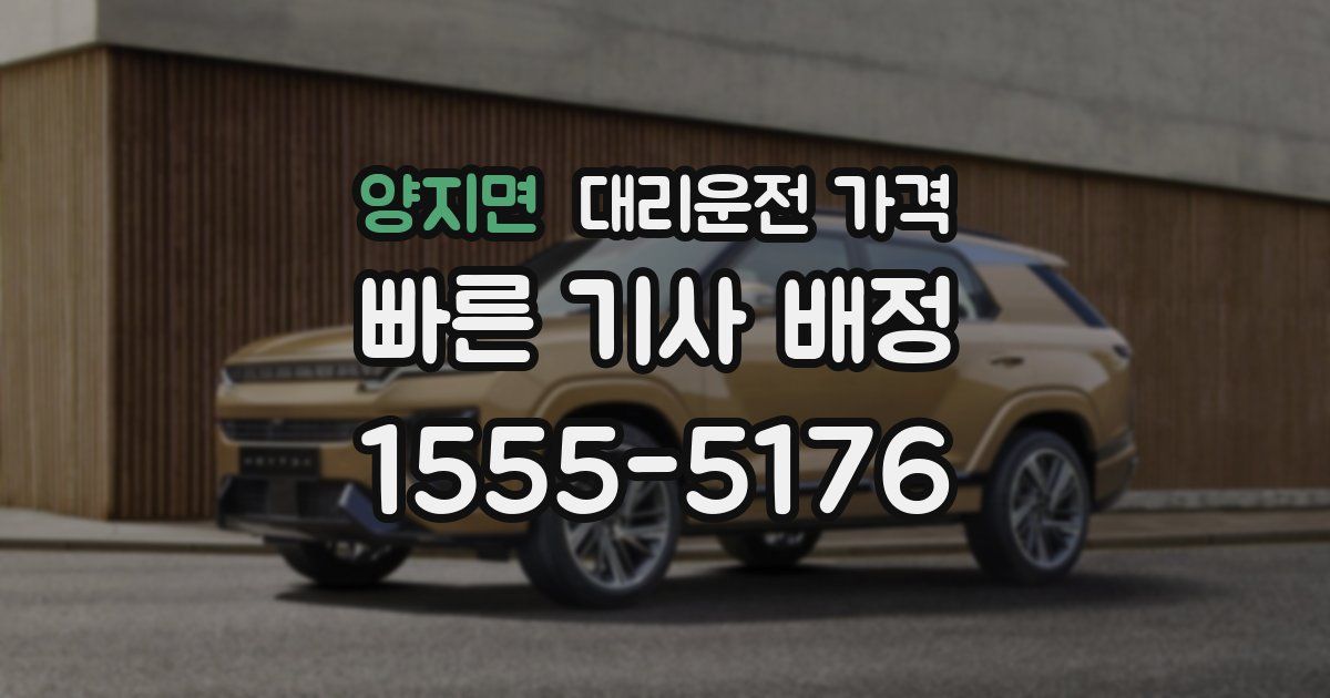 양지면 대리운전 가격