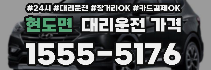 현도면 대리운전 가격