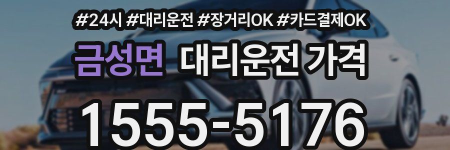 금성면 대리운전 가격