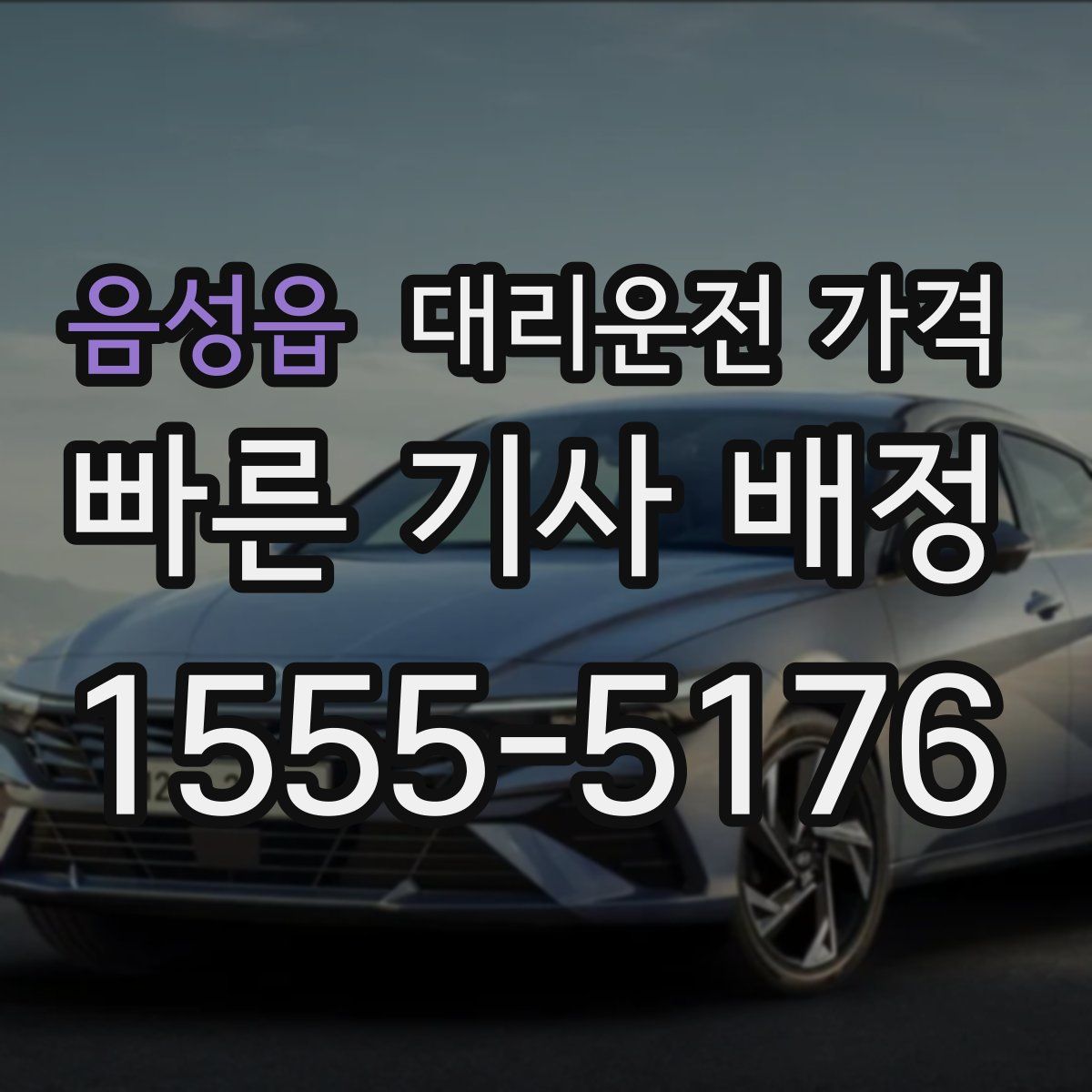 음성읍 대리운전