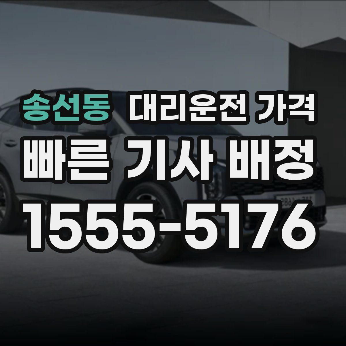 송선동 대리운전