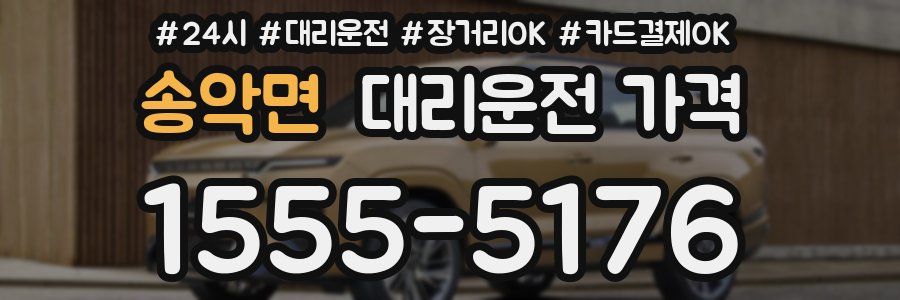 송악면 대리운전 가격