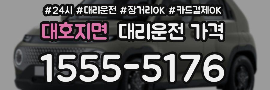대호지면 대리운전 가격