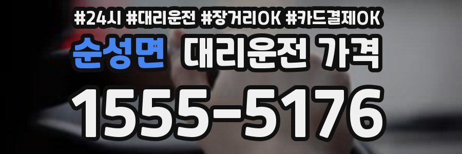 순성면 대리운전 가격