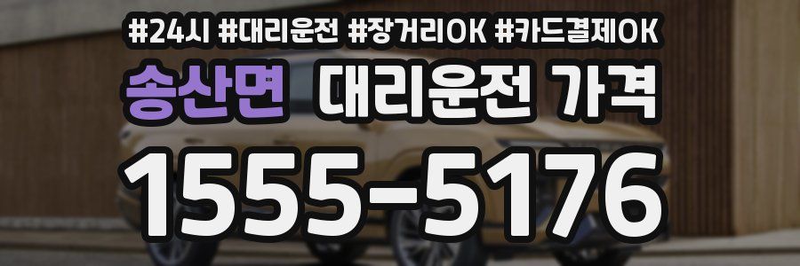 송산면 대리운전 가격