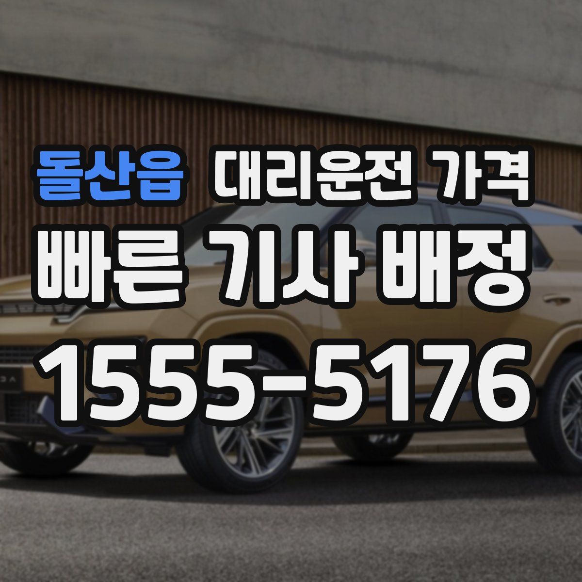 돌산읍 대리운전