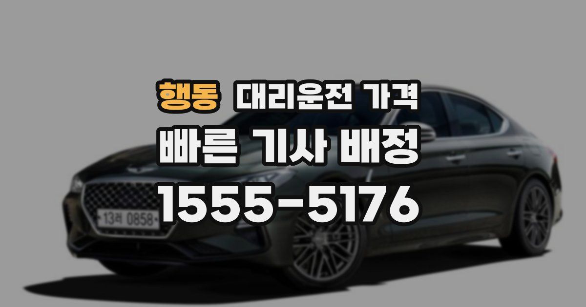 행동 대리운전 가격