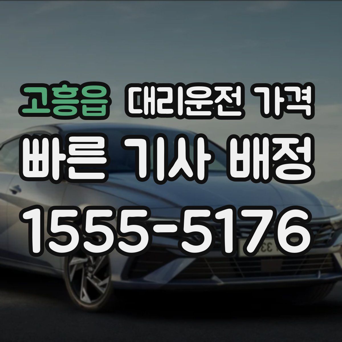 고흥읍 대리운전