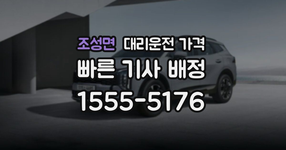 조성면 대리운전 가격