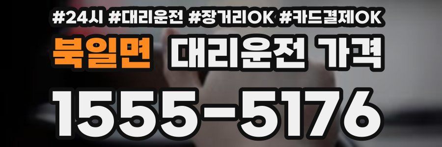 북일면 대리운전 가격