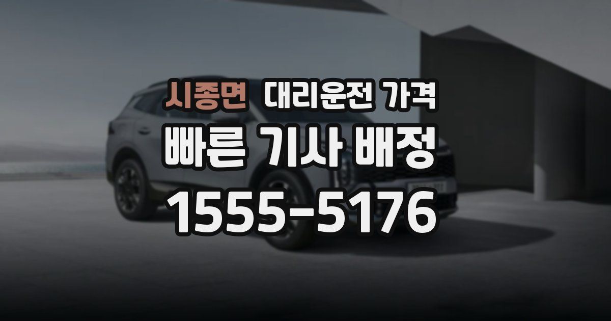 시종면 대리운전 가격
